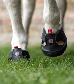 EQUINE FUSION Trekking Shoe Slim