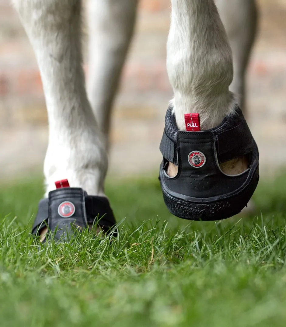 EQUINE FUSION Trekking Shoe Slim