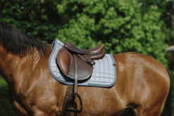 EQUITHEME - Chic - Schabracken