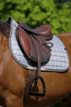 EQUITHEME - Chic - Schabracken