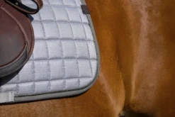 EQUITHEME - Chic - Schabracken