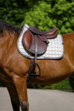 EQUITHEME - Chic - Schabracken