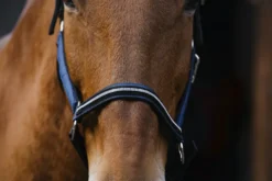 EQUITHEME Domino Nylonhalfter