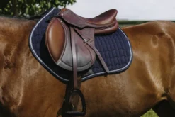 EQUITHEME - Eclat- Schabracken