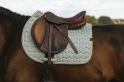 EQUITHEME - Excellence - Schabracken
