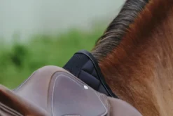 EQUITHEME - Impulsion - Schabracken