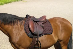 EQUITHEME - Impulsion - Schabracken