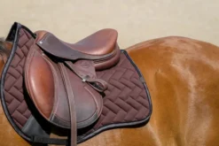 EQUITHEME - Impulsion - Schabracken