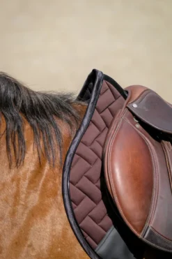 EQUITHEME - Impulsion - Schabracken