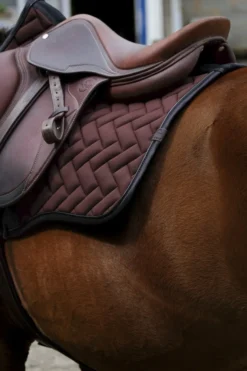 EQUITHEME - Impulsion - Schabracken