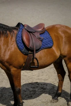 EQUITHEME - Impulsion - Schabracken