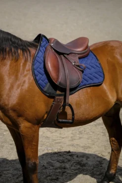 EQUITHEME - Impulsion - Schabracken