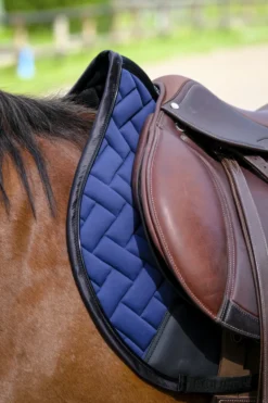 EQUITHEME - Impulsion - Schabracken