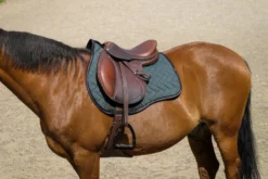 EQUITHEME - Impulsion - Schabracken