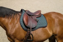 EQUITHEME - Impulsion - Schabracken