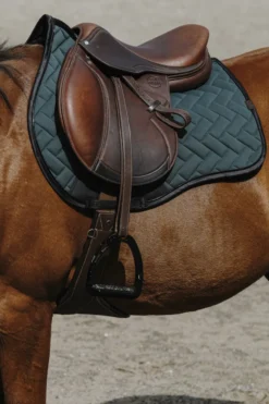 EQUITHEME - Impulsion - Schabracken