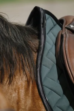 EQUITHEME - Impulsion - Schabracken