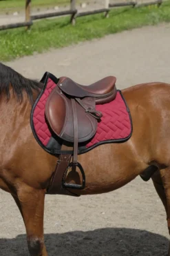EQUITHEME - Impulsion - Schabracken