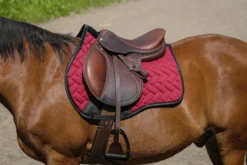 EQUITHEME - Impulsion - Schabracken