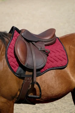 EQUITHEME - Impulsion - Schabracken