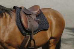 EQUITHEME - Impulsion - Schabracken