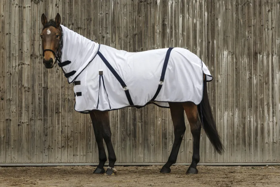EQUITHEME Mesh Combo Decke