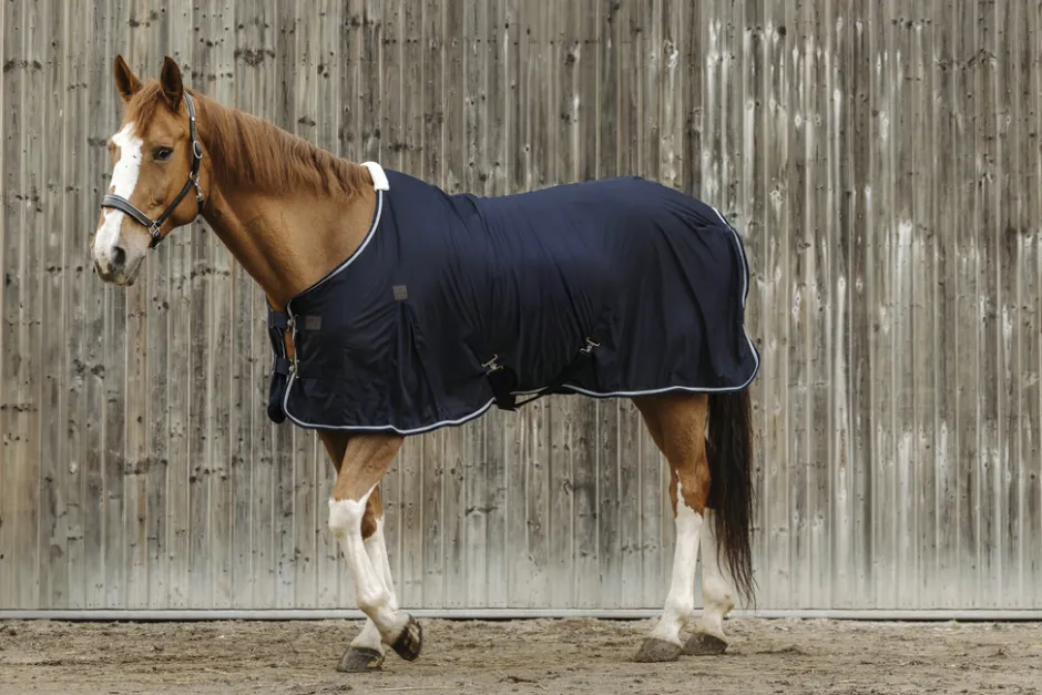 EQUITHEME Micro Mesh Decke