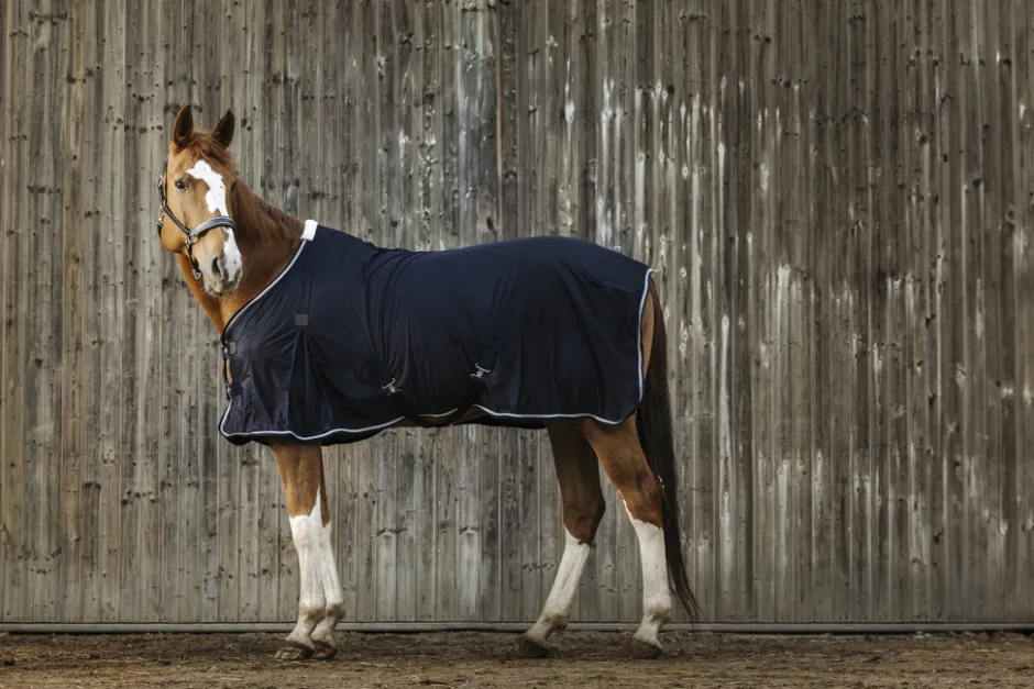 EQUITHEME Micro Mesh Decke