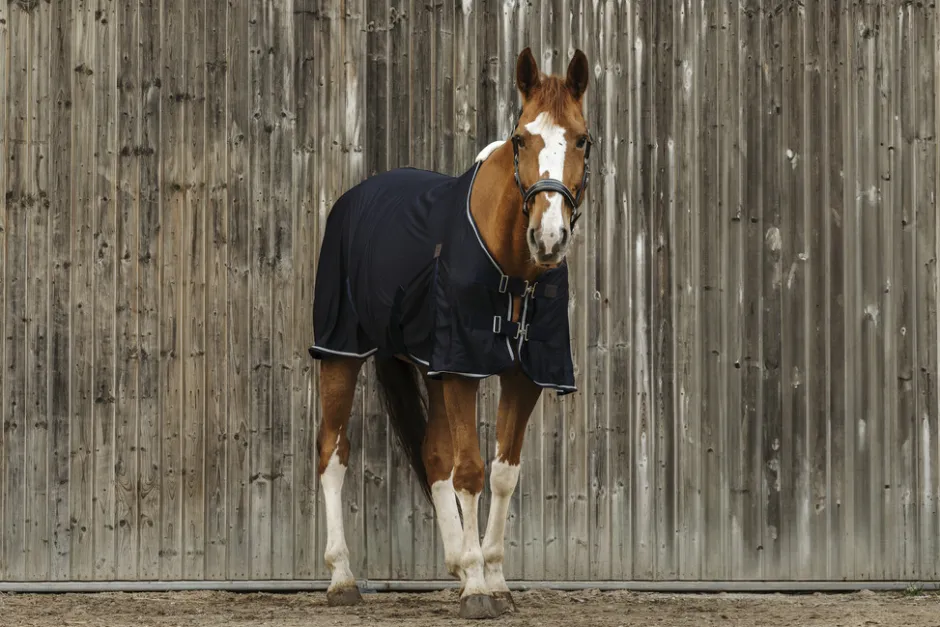EQUITHEME Micro Mesh Decke
