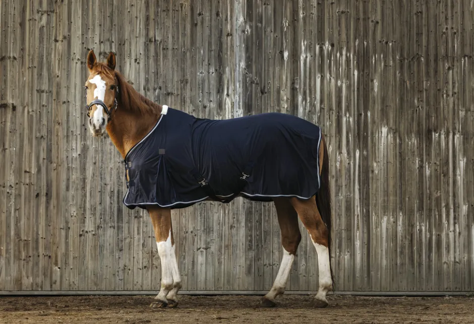 EQUITHEME Micro Mesh Decke
