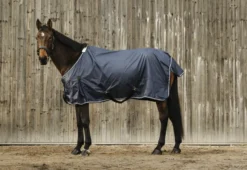 EQUITHEME Regendecke