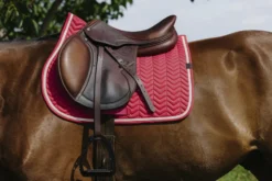 EQUITHEME - Softypop - Schabracken