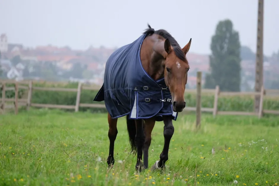EQUITHEME TYREX 1680D Outdoor Decke