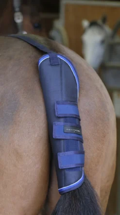 EQUITHEME TYREX 1680D Schweifschoner