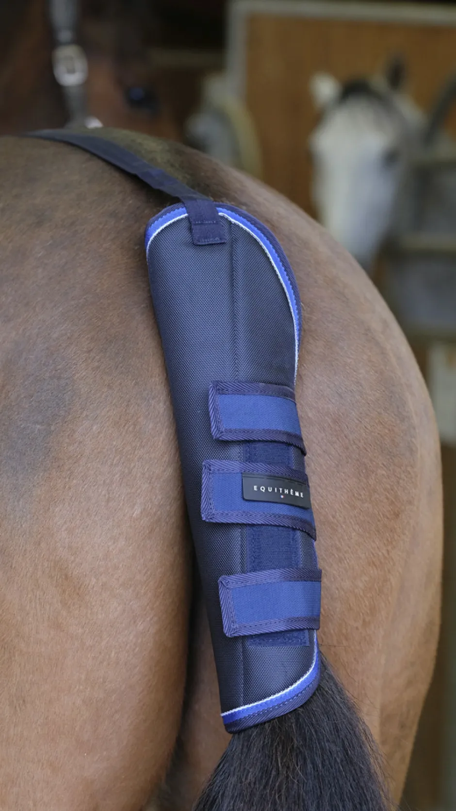 EQUITHEME TYREX 1680D Schweifschoner