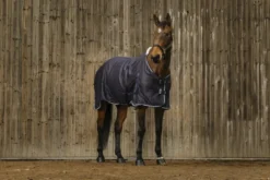 EQUITHEME Vague Decke