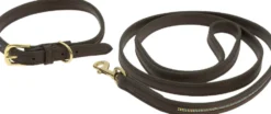 EQUITHÈME - Max - Hundehalsband und Leine