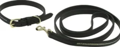 EQUITHÈME - Max - Hundehalsband und Leine