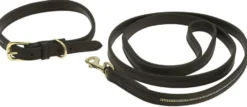 EQUITHÈME - Max - Hundehalsband und Leine