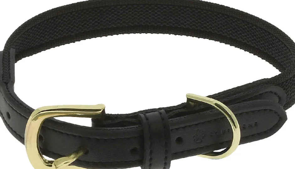 EQUITHÈME - Nala - Hundehalsband
