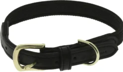 EQUITHÈME - Nala - Hundehalsband