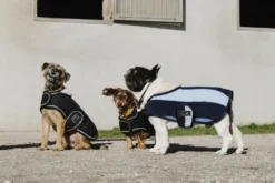 EQUITHÈME - New Market - Hundedecke