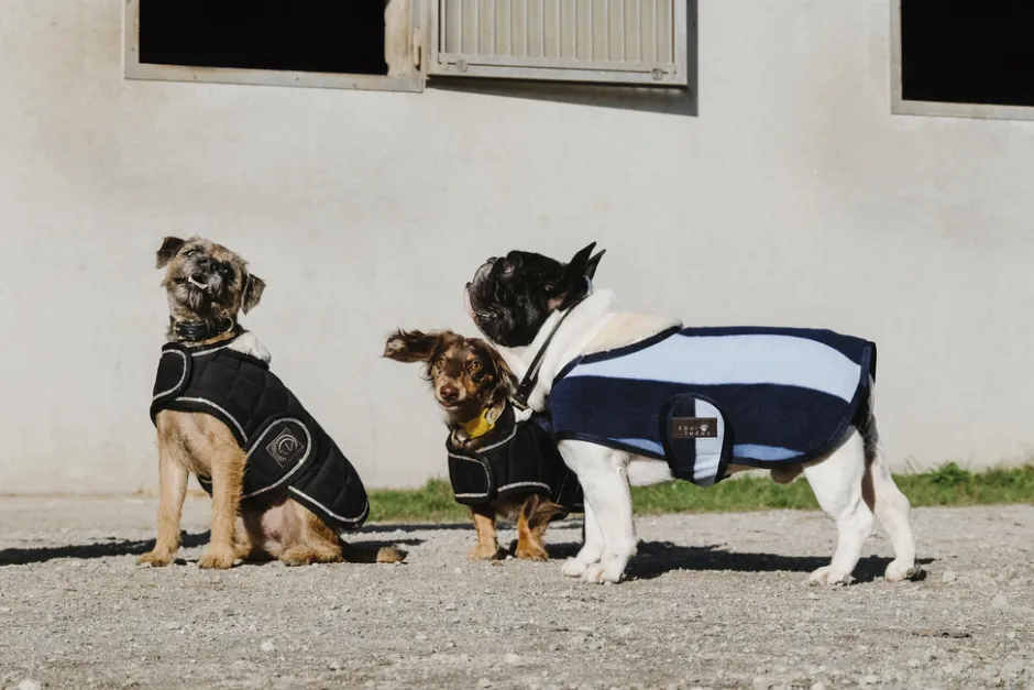 EQUITHÈME - New Market - Hundedecke