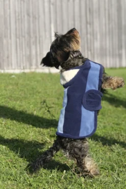 EQUITHÈME - New Market - Hundedecke