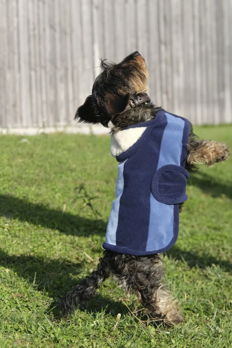 EQUITHÈME - New Market - Hundedecke