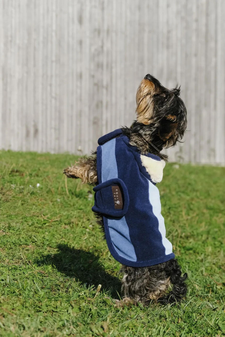EQUITHÈME - New Market - Hundedecke