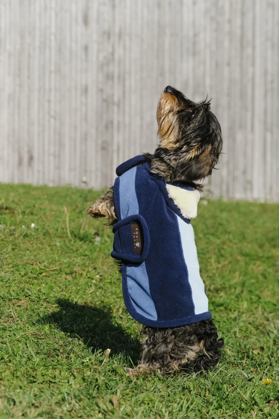 EQUITHÈME - New Market - Hundedecke