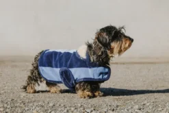 EQUITHÈME - New Market - Hundedecke