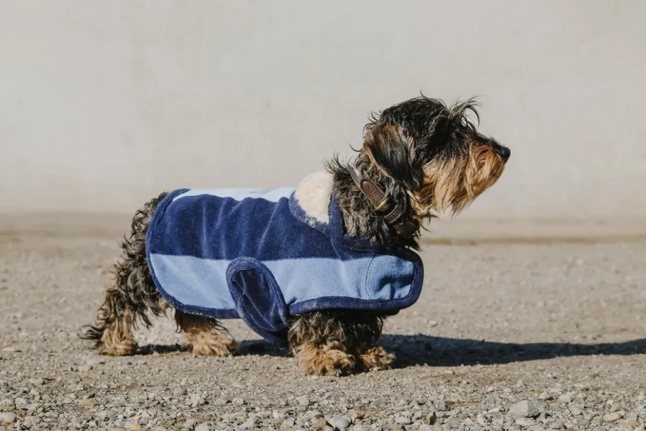EQUITHÈME - New Market - Hundedecke