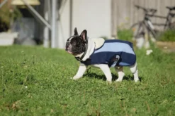 EQUITHÈME - New Market - Hundedecke